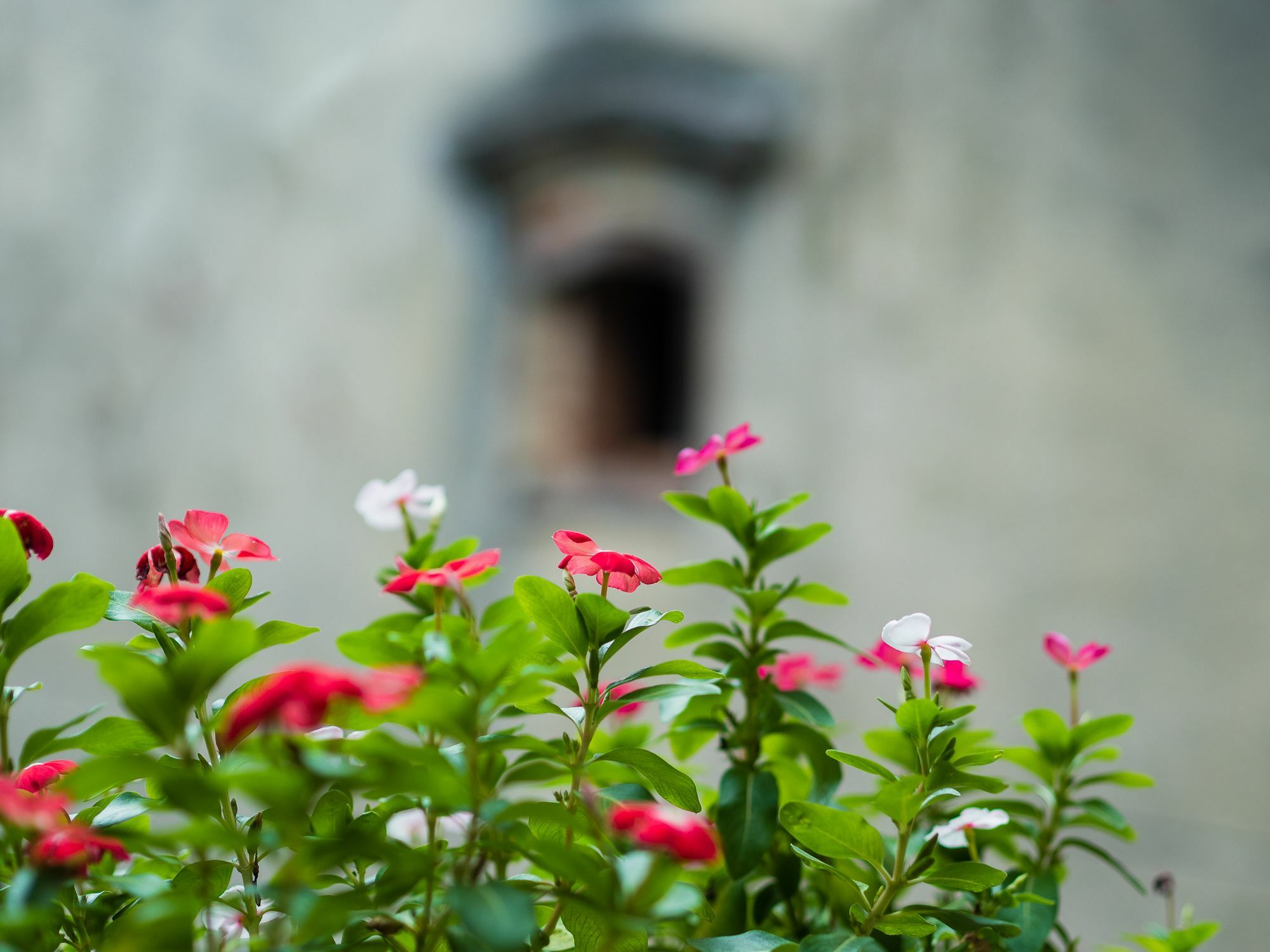 Hanoi Balcony Homestay Exterior foto